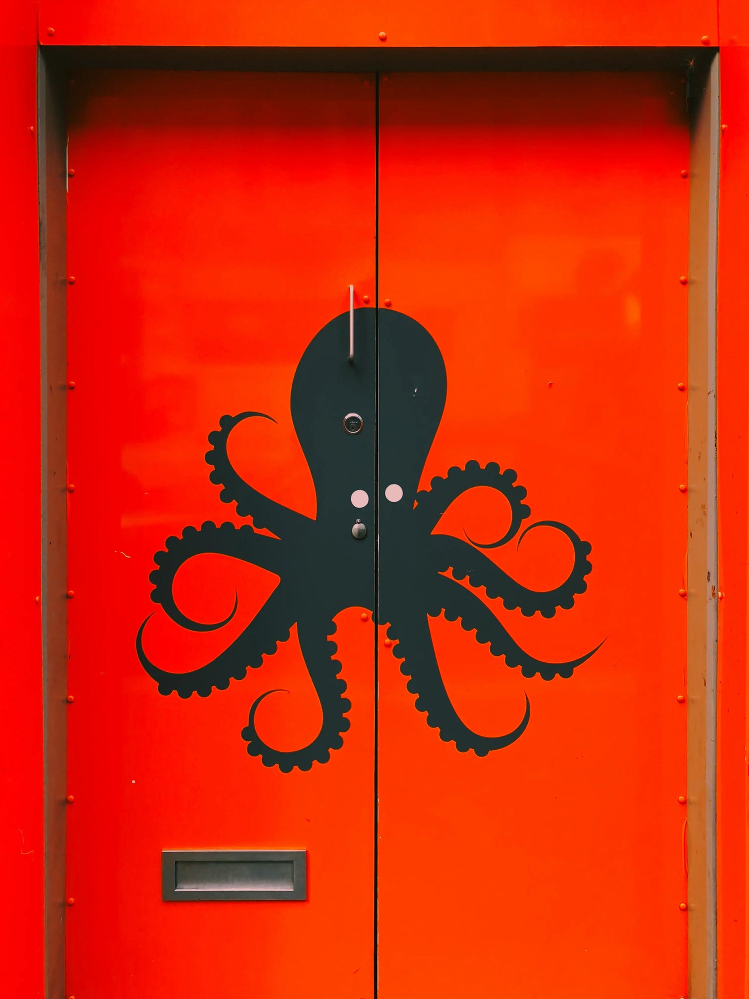 octopus on a door