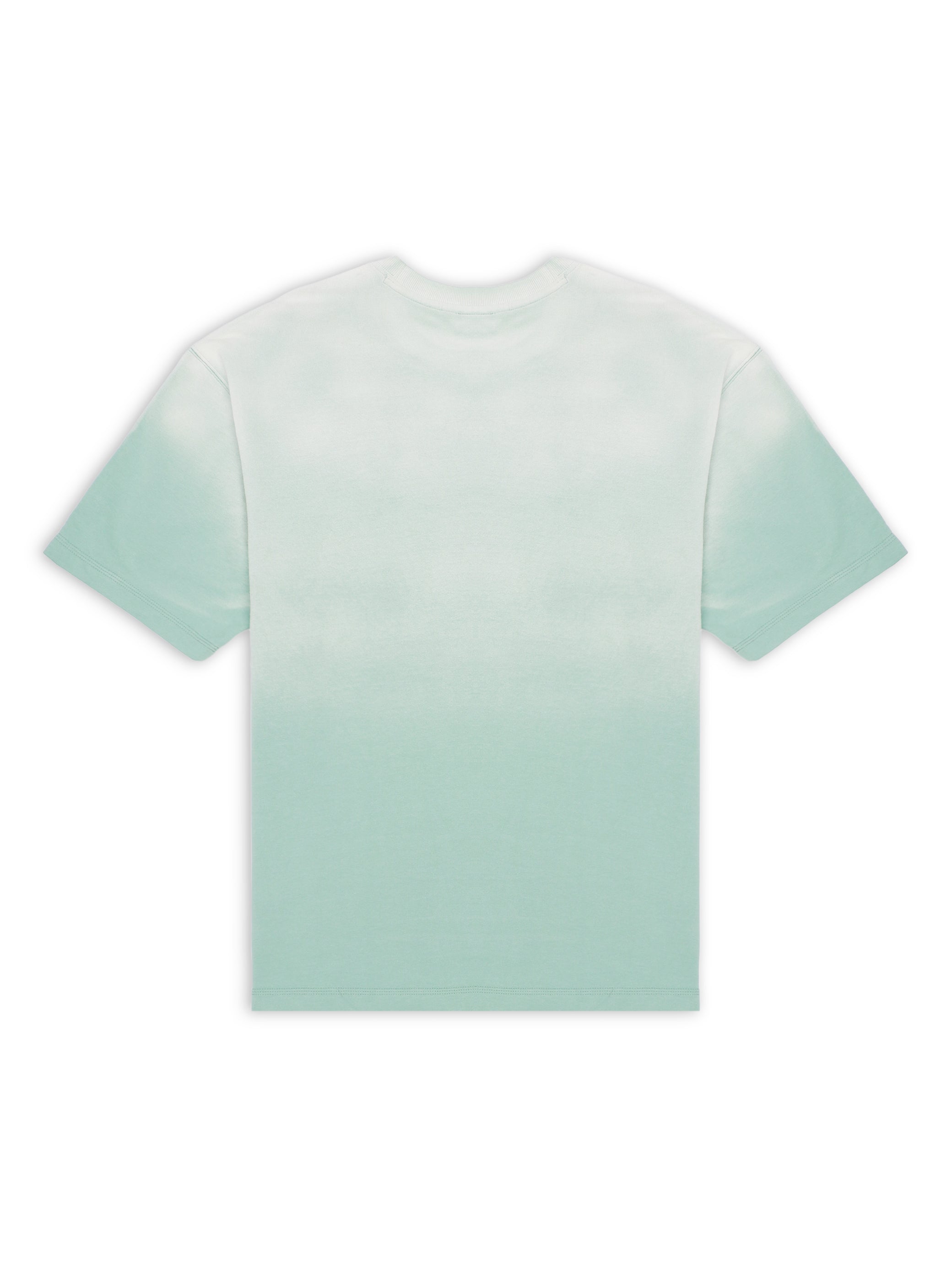 Deep Sea Mint Sunfade T-Shirt